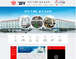 浙江重工閥門集團有限公司